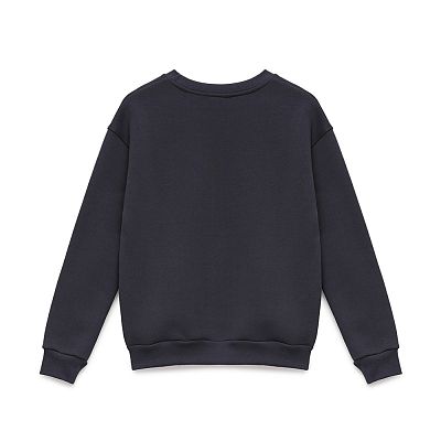 CVS 005/017 (CVS 005/017 Свитшот жен. XL/графит)