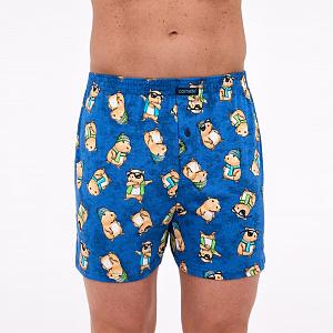 011/178 Classic (011/178 Classic Боксери чол. 3XL)