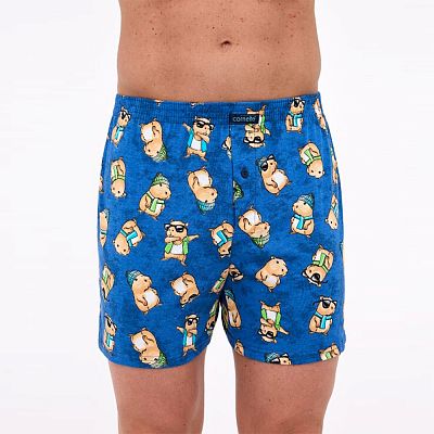 011/178 Classic (011/178 Classic Боксери чол. 3XL)