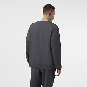 CMS 003/017 (CMS 003/017 Свитшот муж. S/графит)