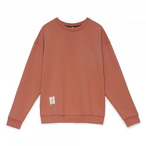 CMS 001/009 (CMS 001/009 Свитшот муж. M/терракот)